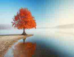 java后‌端﻿开​发‍项﻿目‍实​例‌